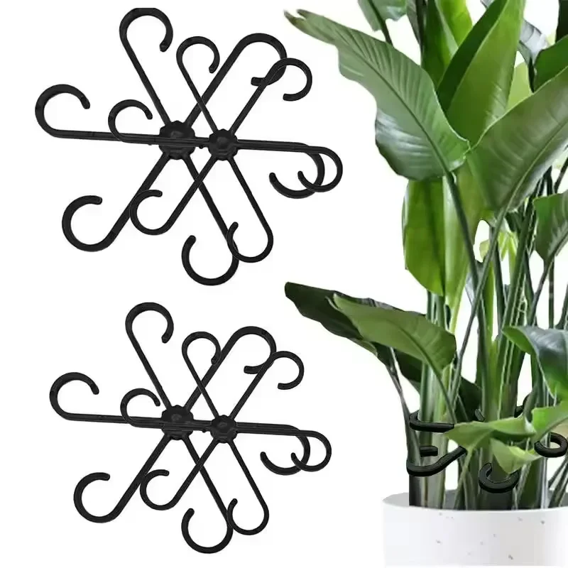 Variegated Monstera Node - Stemsteun Alocasia Monstera Bladsteunen 4 stuks