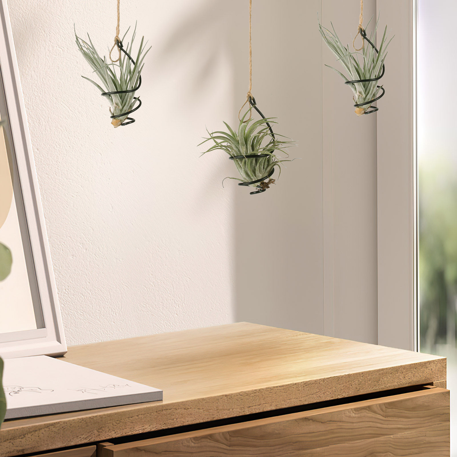 Air Plant Tillandsia - 12-delige set hangende luchtplantenhouders, spiraalvormige metalen