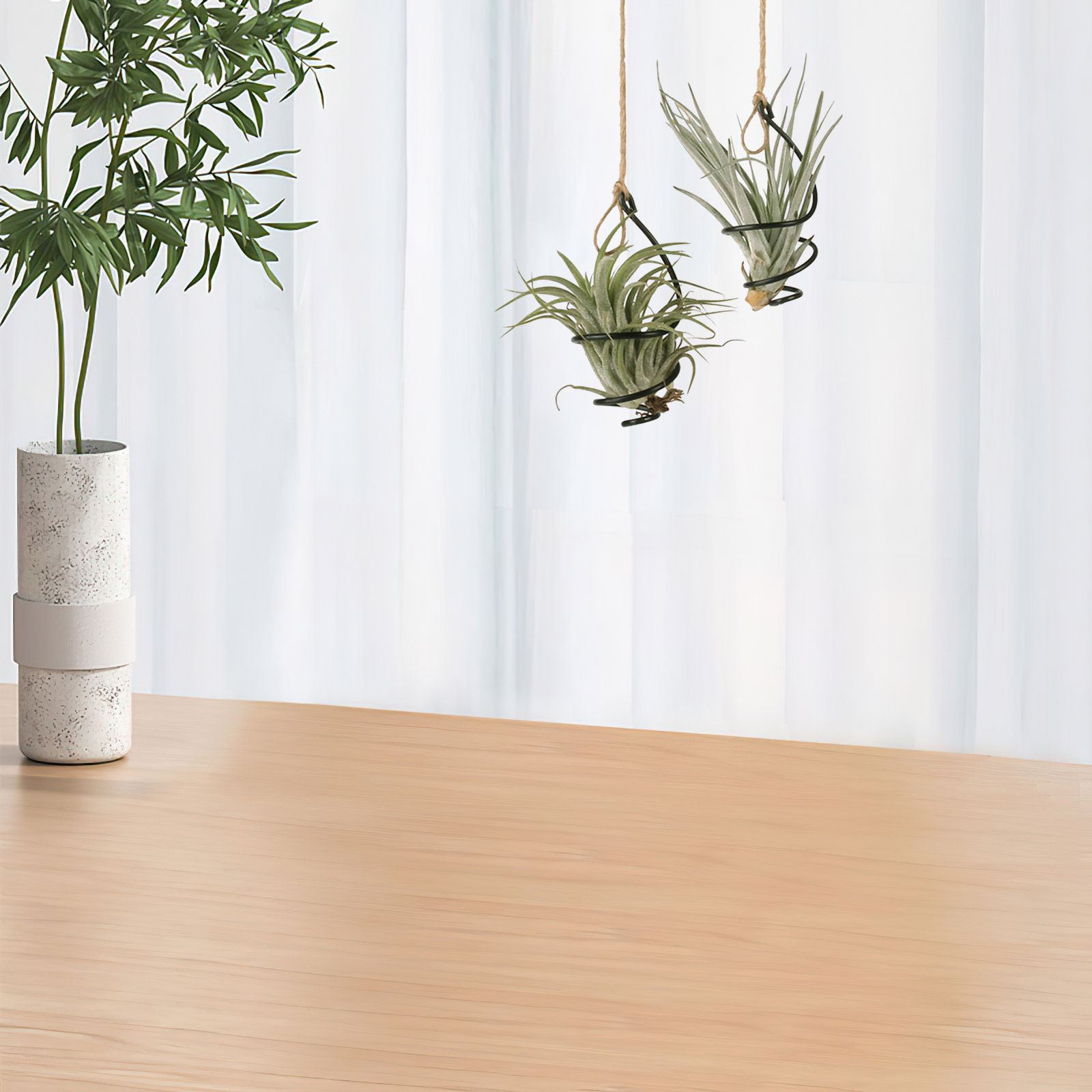 Air Plant Tillandsia - 12-delige luchtplantenhouder, spiraalvormige metalen standaard, verstelbare