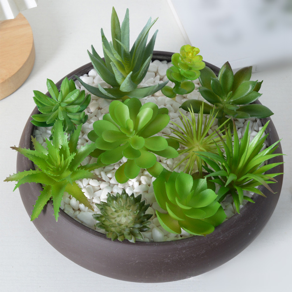 Kunstmatige mini-bonsai succul - Succulent Arrangement Mini recensie en prijs