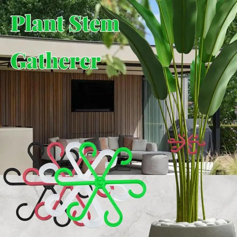 4 stuks klimplantensteunclips, - Variegated Monstera Node recensie en prijs