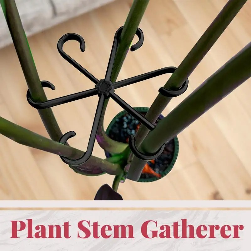 4 stuks klimplantensteunclips, - Variegated Monstera Node recensie en prijs