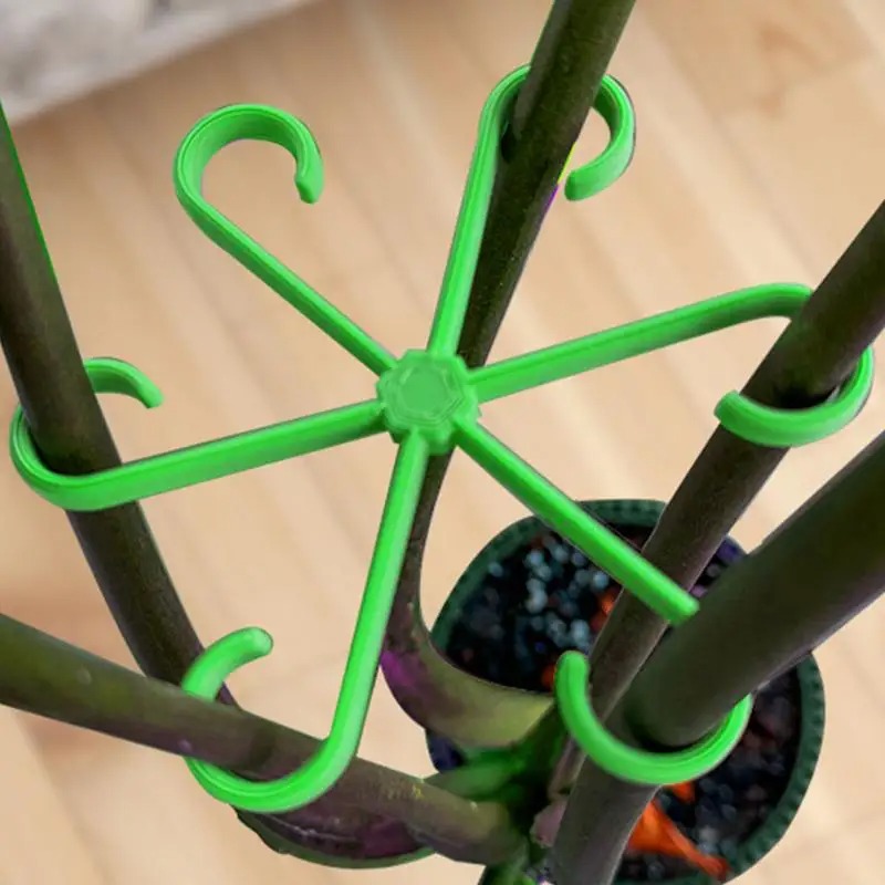 4 stuks klimplantensteunclips, - Variegated Monstera Node recensie en prijs