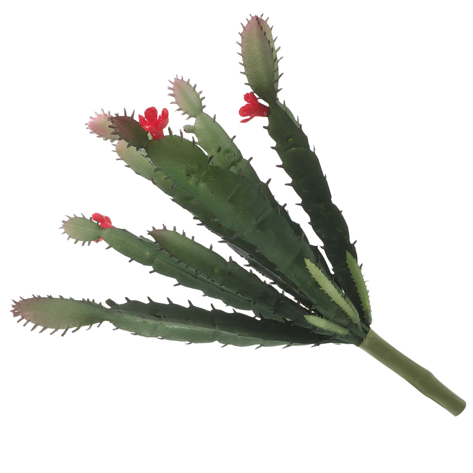 Mini Kunstmatige Vetplant Cact - Succulent Arrangement Mini recensie en prijs