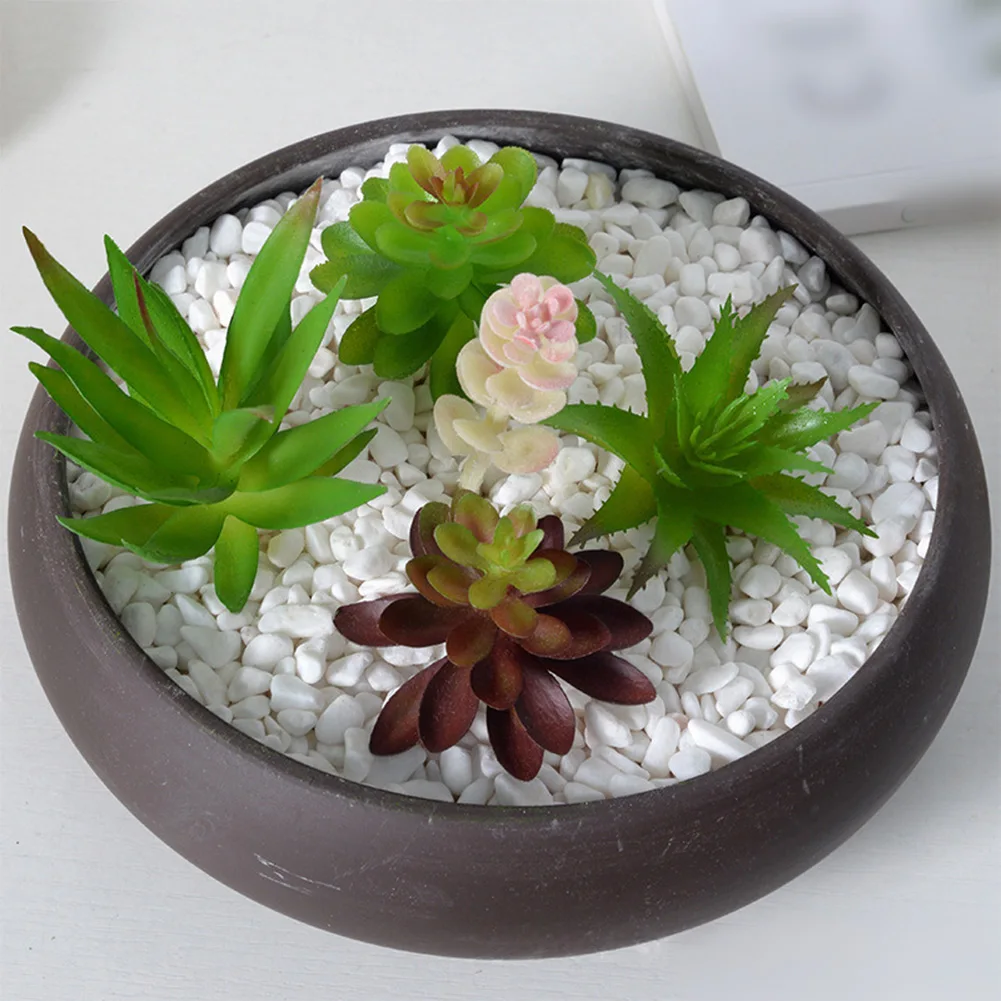 Weinig onderhoud vereiste mini - Succulent Arrangement Mini recensie en prijs