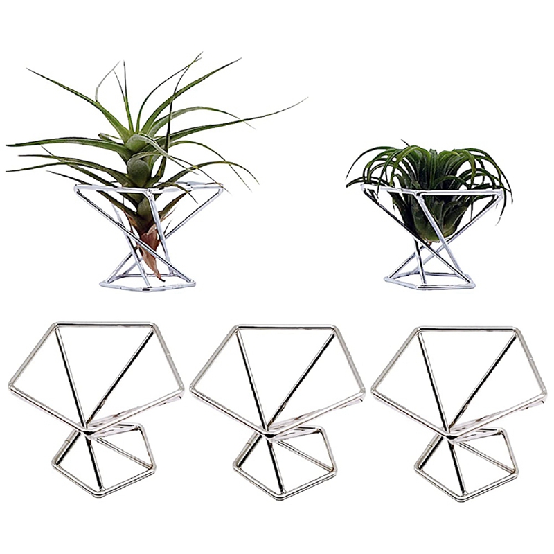 Pack 5 luchtplantenhouders Luc - Air Plant Tillandsia recensie en prijs