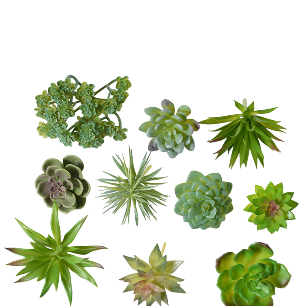 Kunstmatige mini-bonsai succul - Succulent Arrangement Mini recensie en prijs