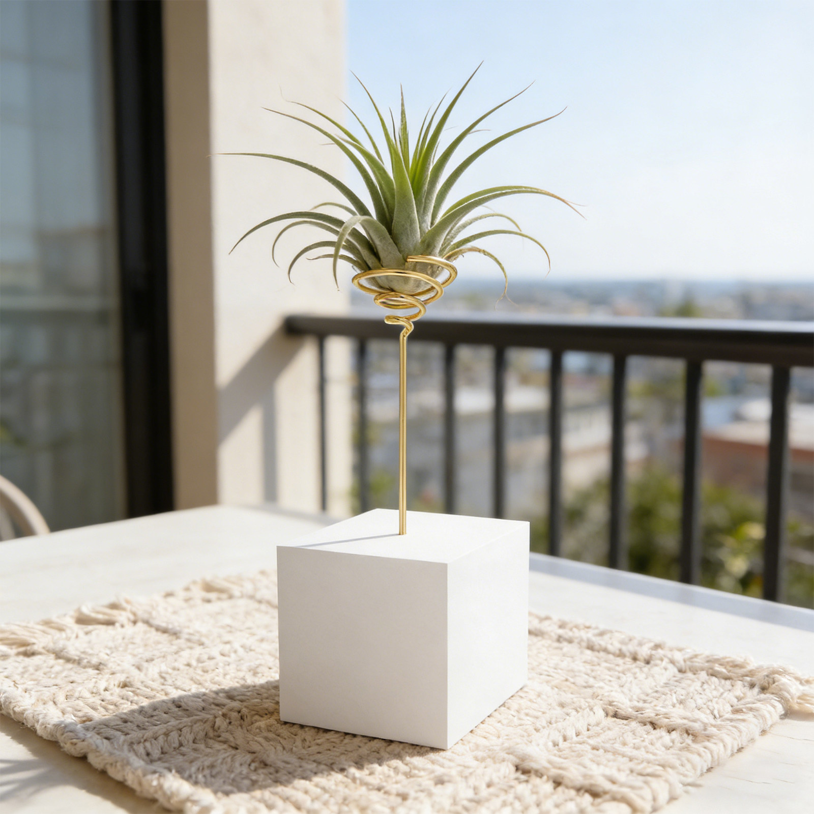 6 Stuks Gegalvaniseerde Metale - Air Plant Tillandsia recensie en prijs