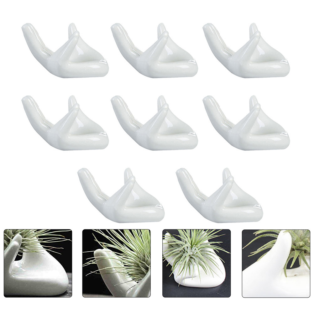 8-delige keramische vingerocar - Air Plant Tillandsia recensie en prijs
