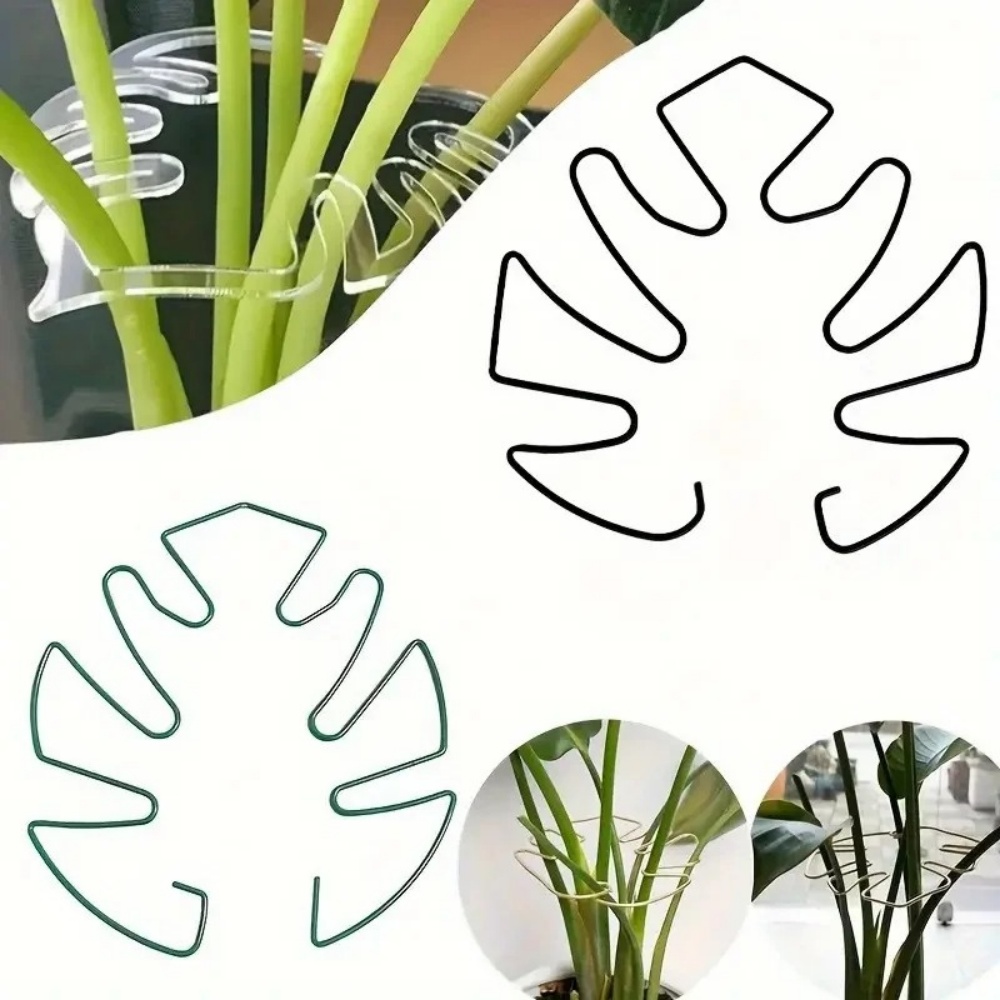 1Pc Grote plantenstandaard Kam - Variegated Monstera Node recensie en prijs