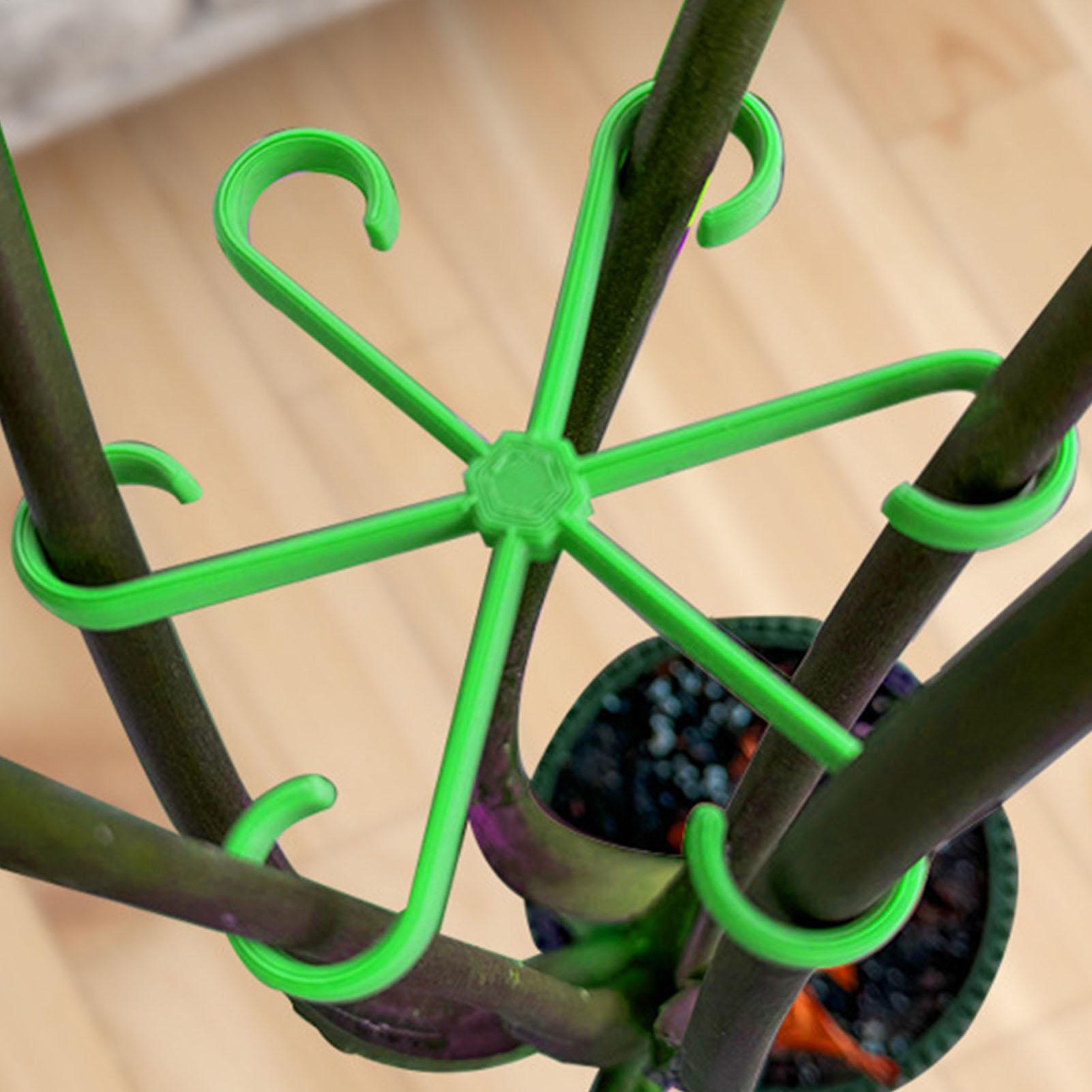 4 Stuks Planten Stem Ondersteu - Variegated Monstera Node recensie en prijs