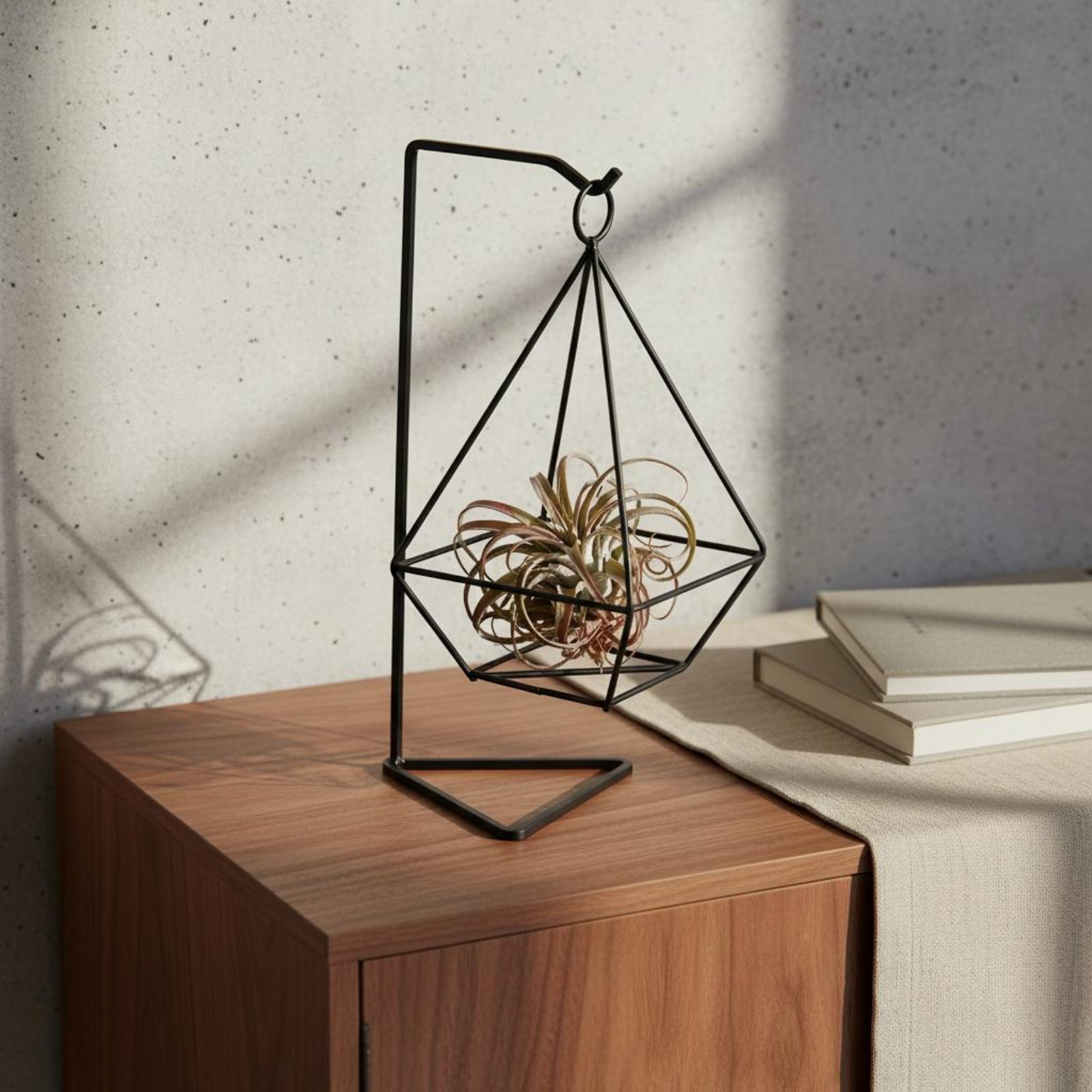 Geometrische luchtplantenhoude - Air Plant Tillandsia recensie en prijs