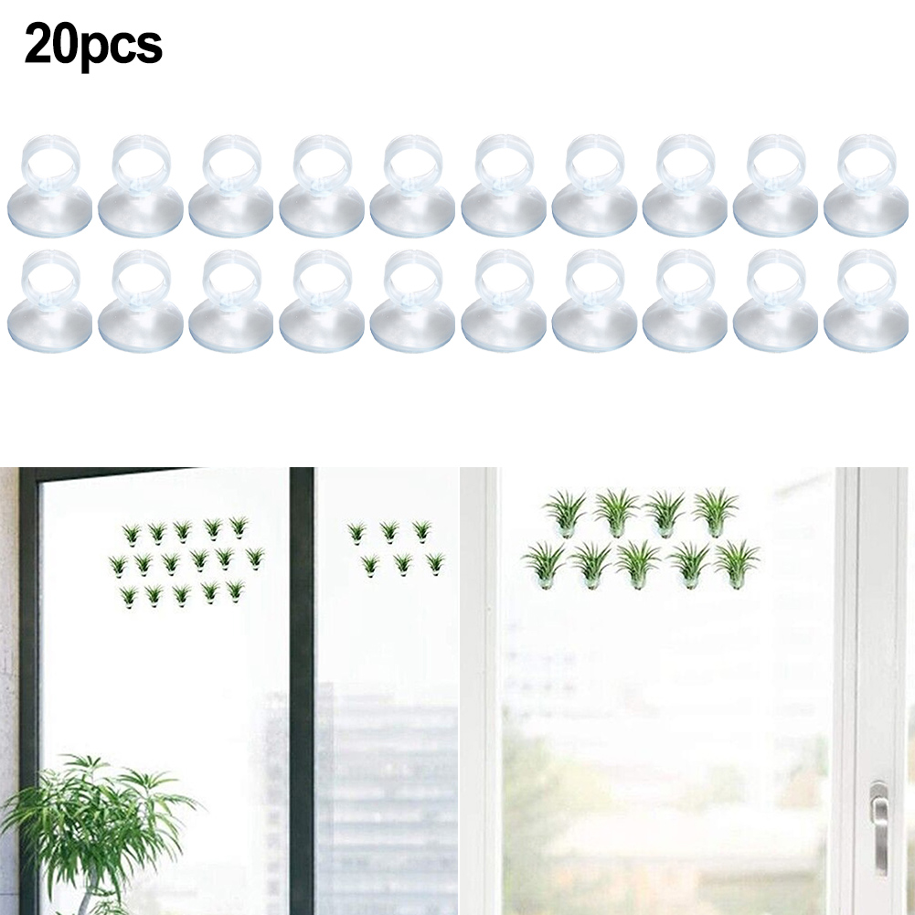 20 stuks Air Plant-montagehoud - Air Plant Tillandsia recensie en prijs