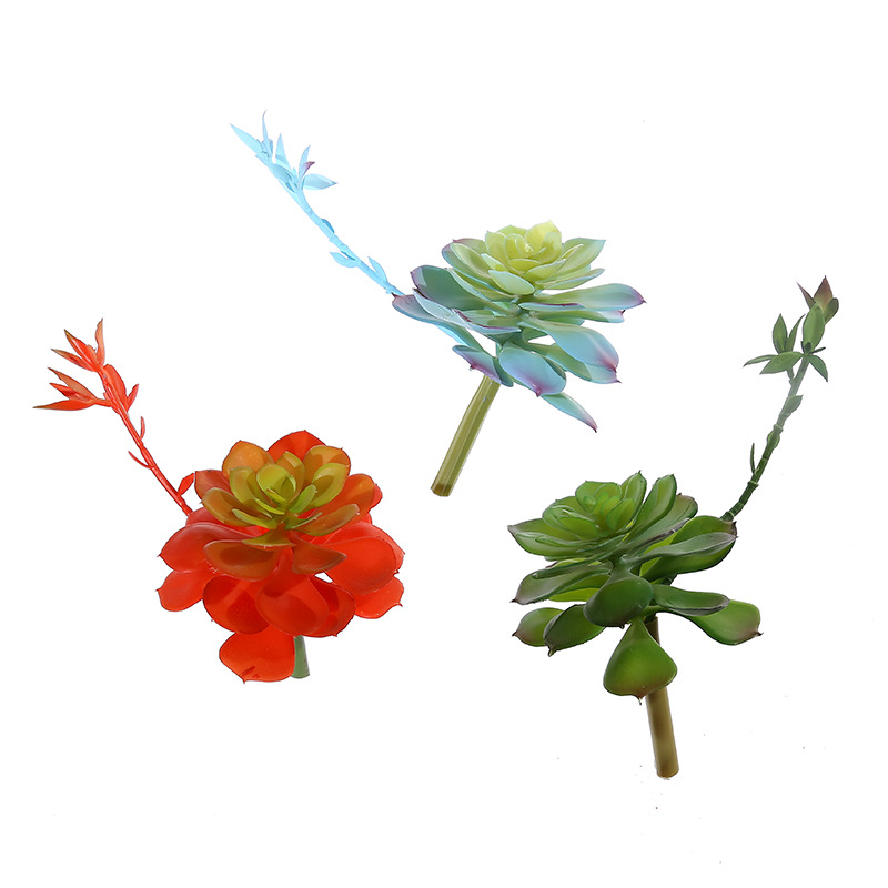 Wusmart Zhong Shi Lian Grote K - Succulent Arrangement Mini recensie en prijs