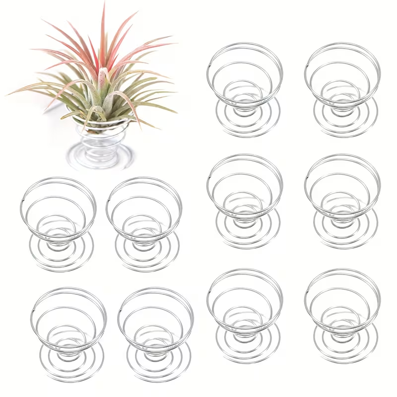 1/10 STUKS Metalen Veerstandaa - Air Plant Tillandsia recensie en prijs