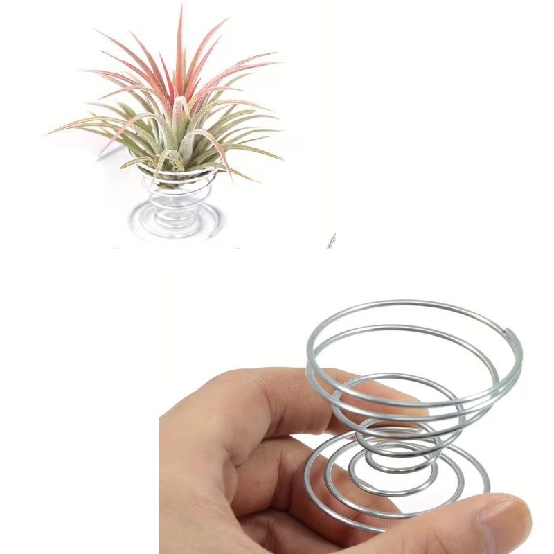 1/10 STUKS Metalen Veerstandaa - Air Plant Tillandsia recensie en prijs
