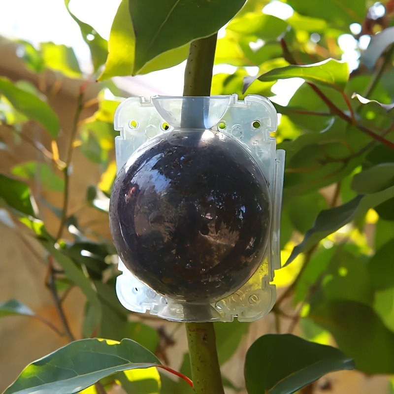 10-delige hogedruk plantenwort - Plant Parent Kit recensie en prijs