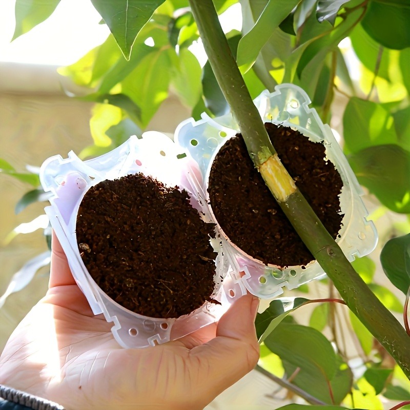 10-delige hogedruk plantenwort - Plant Parent Kit recensie en prijs