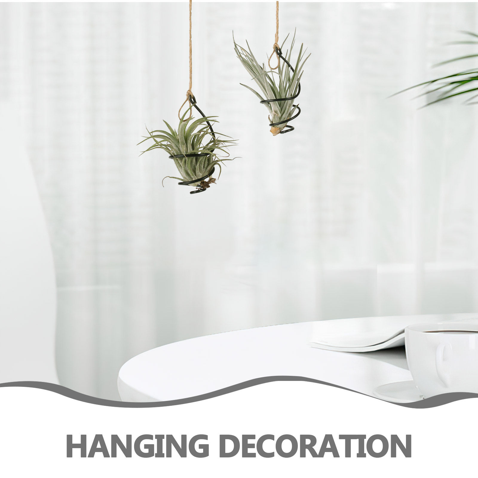 12-delige luchtplantenhouder,  - Air Plant Tillandsia recensie en prijs
