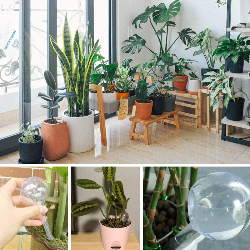 5/10PCS Automatische Plant Wat - Plant Parent Kit recensie en prijs